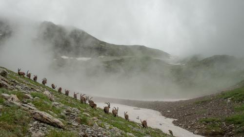 Météo : la Haute-Savoie, l'Isère et la Savoie placés en vigilance orange pluie-inondation