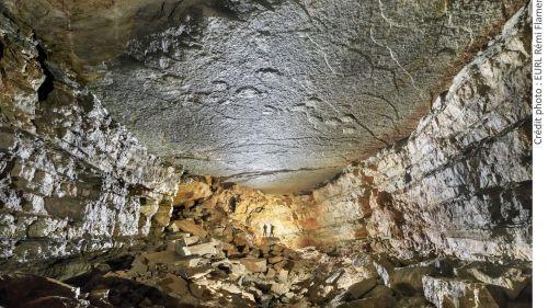 Lozère : des empreintes de dinosaures géants découvertes sur le plafond d'une grotte