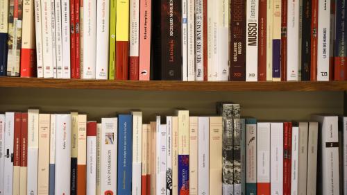 Livres : des best-sellers pour relancer le marché