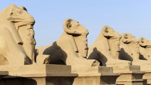 Egypte : l'installation de quatre sphinx antiques au centre de la ville du Caire fait polémique