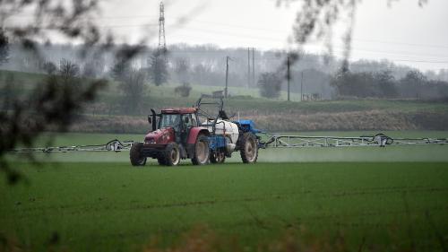 Pesticides : le Conseil d'Etat rejette de nouveaux recours contre les épandages près des habitations