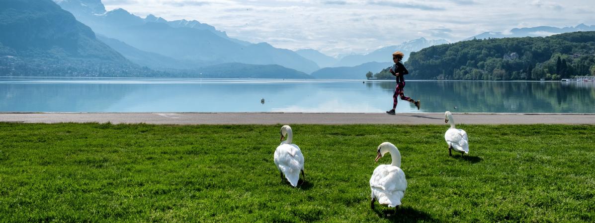 image de la haute savoie