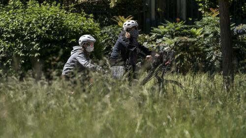 Déconfinement : faut-il laisser la nature reprendre ses droits ?