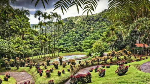 Le journal des Outre-mers. Réouverture du premier site touristique en Martinique, quatorzaine sous conditions à La Réunion