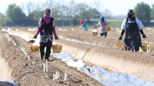 Déconfinement : ces quelques secteurs qui recrutent alors que les offres d'emploi sont en chute