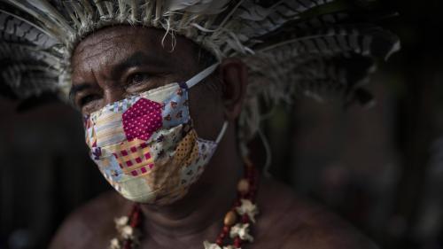 Covid-19, déforestation... Jane Fonda, Morgan Freeman, Sting, Peter Gabriel, des stars internationales se mobilisent pour l'Amazonie en livestream vendredi