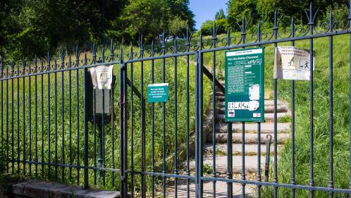 DIRECT. Déconfinement : les parcs et les jardins rouvrent ce matin en région parisienne, en attendant les cafés et les restaurants mardi