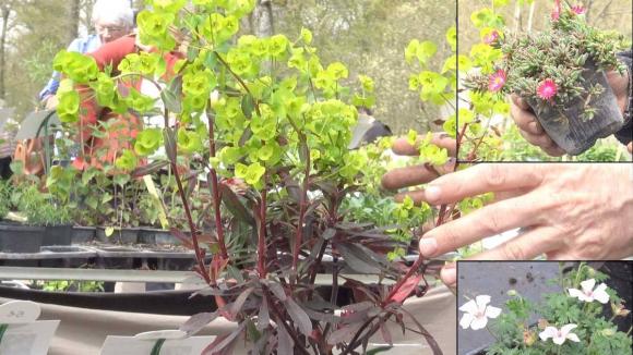 Jardin Une Jardiniere Ou Un Pot Pour Le Plein Soleil