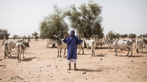 Le coronavirus touche durement la vie des Peuls du Sénégal