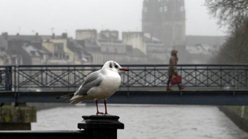 Intempéries : trois départements bretons et cinq départements du Cantal au Gard placés en vigilance orange pour 