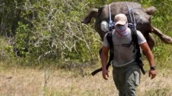 Coronavirus, manifestation des soignants, tortue géante... L'actualité de la semaine en images