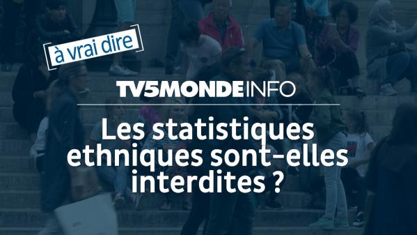 À vrai dire. Les statistiques ethniques sont-elles vraiment interdites en France ?