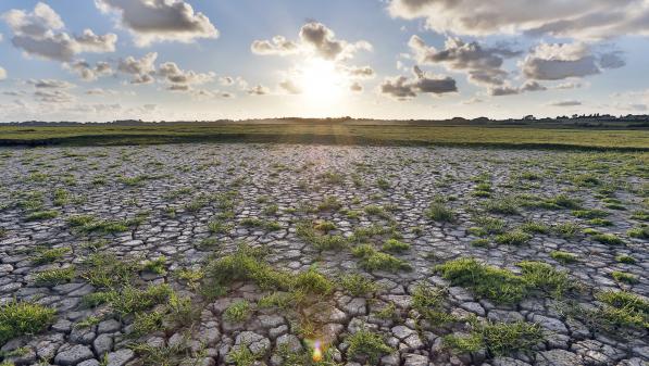 Le billet sciences. Canicules annoncées, le réchauffement climatique est là !