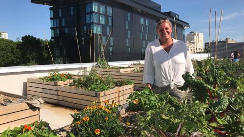 Jardin. Des carrés potagers sur les toits, Porte de Versailles à Paris