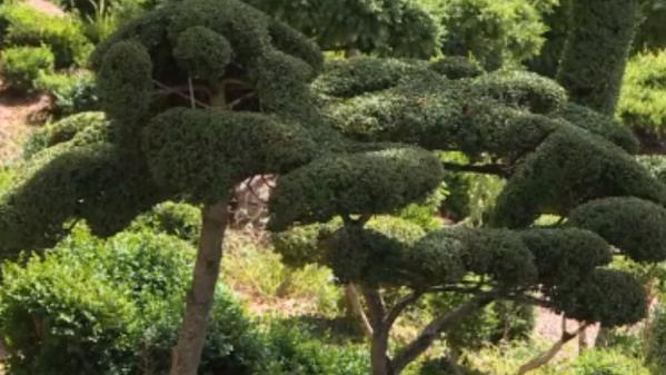 Sarthe : le jardin extraordinaire du prieuré de Vauboin