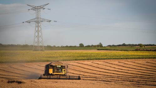 Mauvaises récoltes de céréales : 