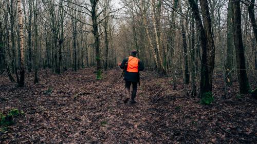 Les accidents en légère hausse lors de la dernière saison de chasse