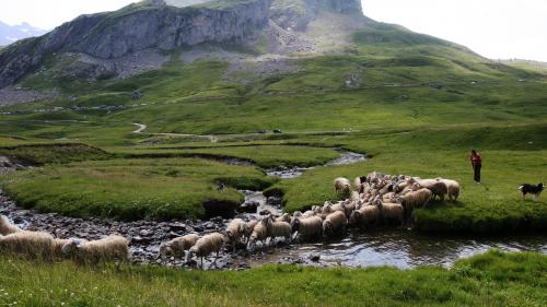 Un été en France. Le plateau du Bénou dans le Béarn