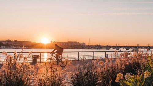 Mômes trotteurs. A vélo dans Bordeaux