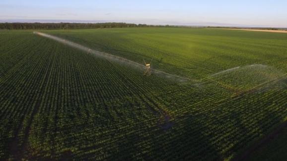 Une rampe frontale irrigue le champs de maïs d\'Olivier Guyon, à Mesves-sur-Loire (Nièvre).&nbsp;