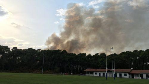 Anglet : un incendie s'est déclaré dans la forêt du Pignada, 2,5 hectares brûlés à 20h