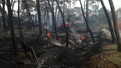 Le billet vert. Les pompiers sont confrontés à la multiplication des feux de plus en plus violents sur fond de réchauffement climatique