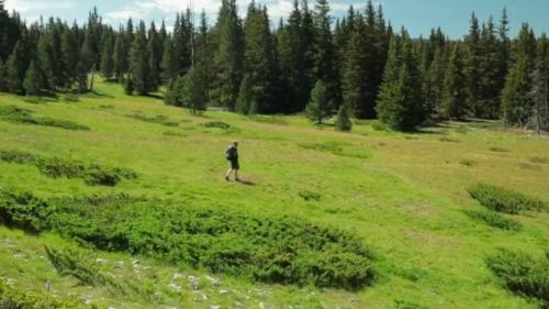 Été : retour sur les Hauts Plateaux du Vercors