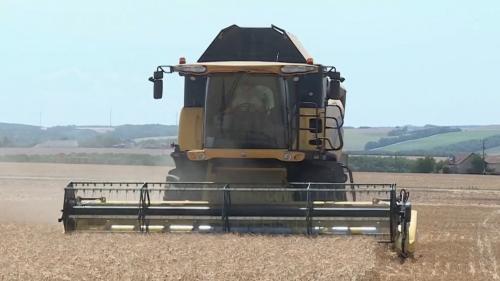 Agriculture : les moissons de blé historiquement basses