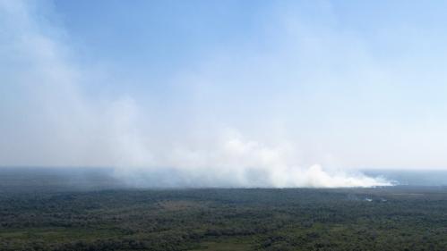 Brésil : le Pantanal, un sanctuaire de biodiversité, a connu un record d'incendies en juillet