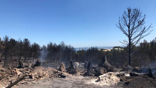 VIDEO. Incendies de Martigues : l'unité de pompiers mobilisée ne relâche pas sa surveillance