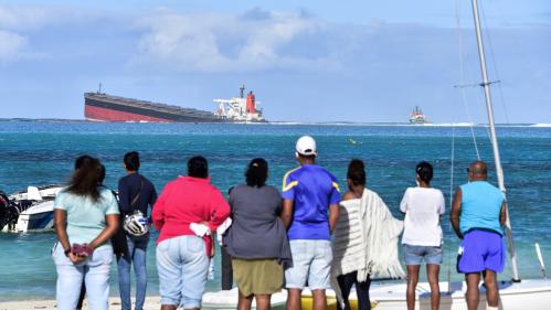 Océan Indien : quatre questions sur la marée noire qui menace l'île Maurice