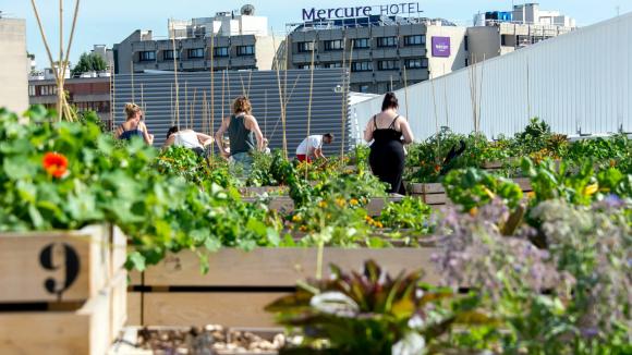 Une ferme urbaine installée saur le toit d\'un immeuble dans le 15e arrondissement de Paris. 