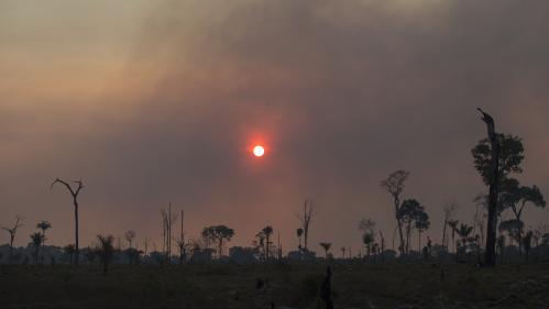 Brésil : malgré la mobilisation mondiale l'an dernier, les incendies en Amazonie repartent à la hausse cet été