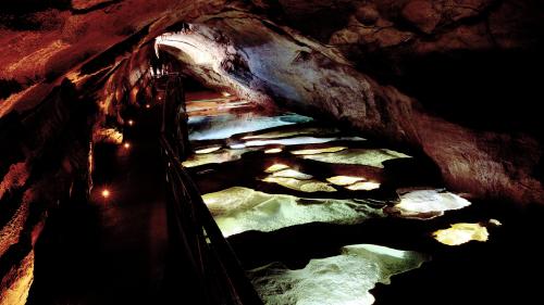 VIDEO. Découverte du week-end : dans les entrailles de la grotte de la Cocalière, entre le Gard et l'Ardèche