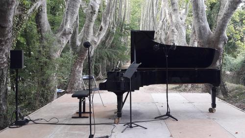 La Roque-d'Anthéron : au milieu de la forêt, des pianos font résistance dans le désastre culturel