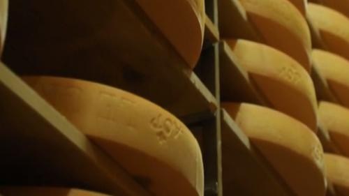 Gruyère : les secrets du savoir-faire helvétique