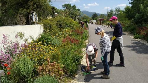 Jardin. Une rue-jardin, à Privas, dans l'Ardèche