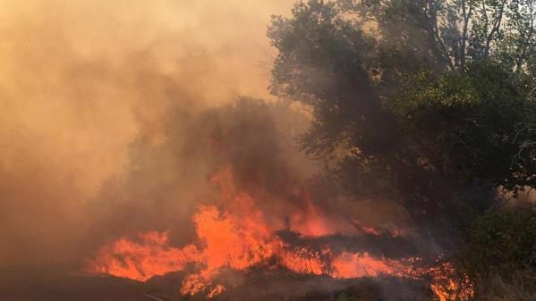 DIRECT. Incendie dans les Bouches-du-Rhône : le feu, toujours 