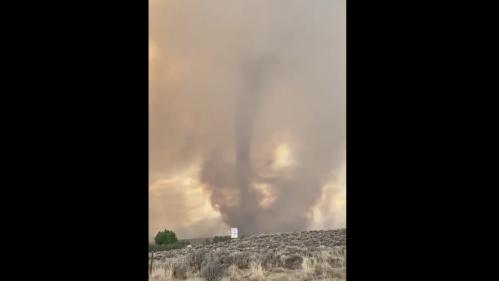 On vous explique comment se forment les gigantesques tornades de feu observées en Californie