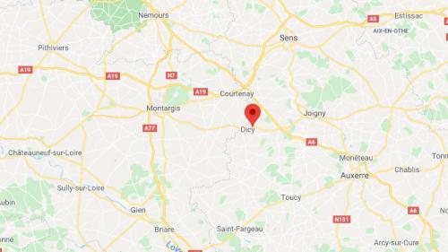 Yonne : le président d'un refuge agressé après la mutilation de ses chevaux et poneys