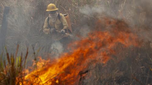 Brésil : les incendies 