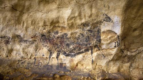 Grotte de Lascaux : cérémonie réduite pour les 80 ans d'une grotte qui, selon sa conservatrice, 