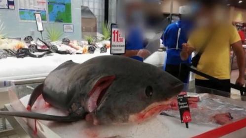 Environnement : l'image d'un requin-renard vendu dans un supermarché provoque un tollé