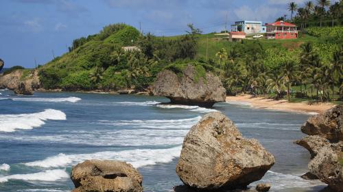 L'île de la Barbade dit 