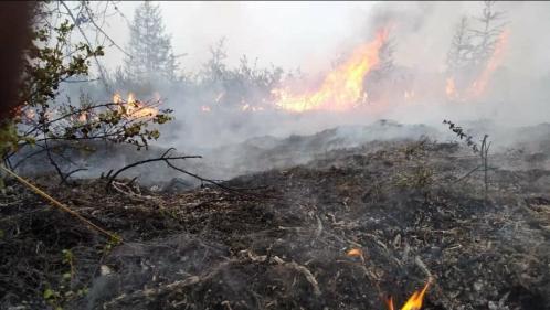 Réchauffement climatique : la difficile gestion des incendies monstres en Bolivie, en Russie et au Portugal