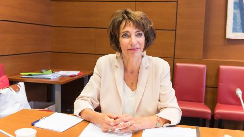 DIRECT. Coronavirus : regardez les auditions de Marisol Touraine et Roselyne Bachelot devant la commission d'enquête du Sénat