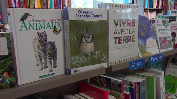 Ventes : les libraires retrouvent le sourire