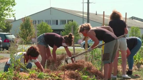 Environnement : les potagers d'entreprise ont le vent en poupe