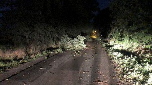 Tempête Alex : une personne tuée après la chute d'une branche dans le Finistère