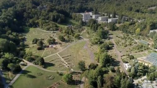 Découverte : le jardin botanique de Nancy préserve la flore mondiale